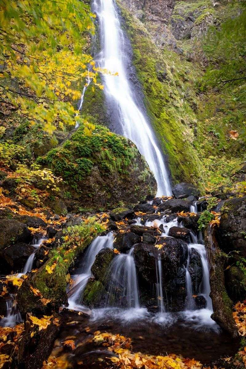Best Time to Visit: When the Waterfalls Are at Their Most Dramatic
