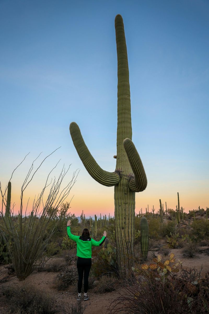 Permits And Tags Are The Proof You May Need To Show