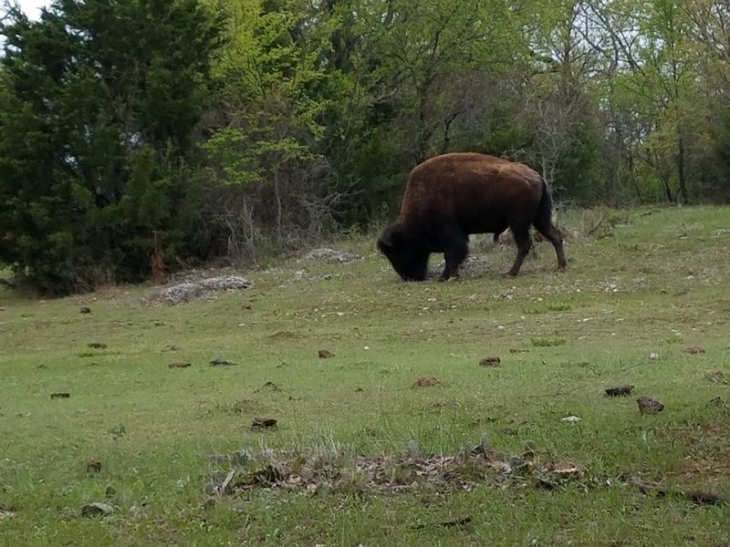 Chickasaw National Recreation Area Is Your Backyard
