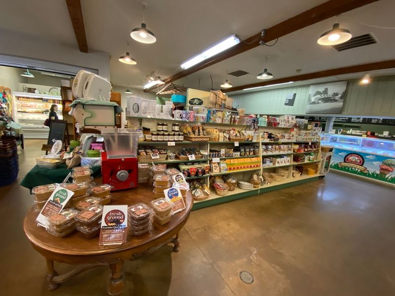 Bakery Case Choices That Make Resisting Feel Pointless