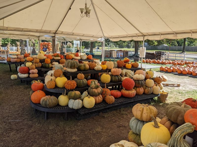 Plan Your Visit to Hunt Club Farm