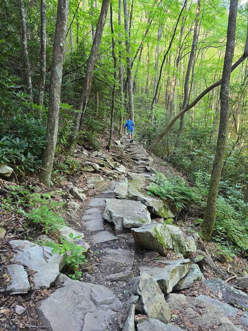 Gear Up Right Before You Go