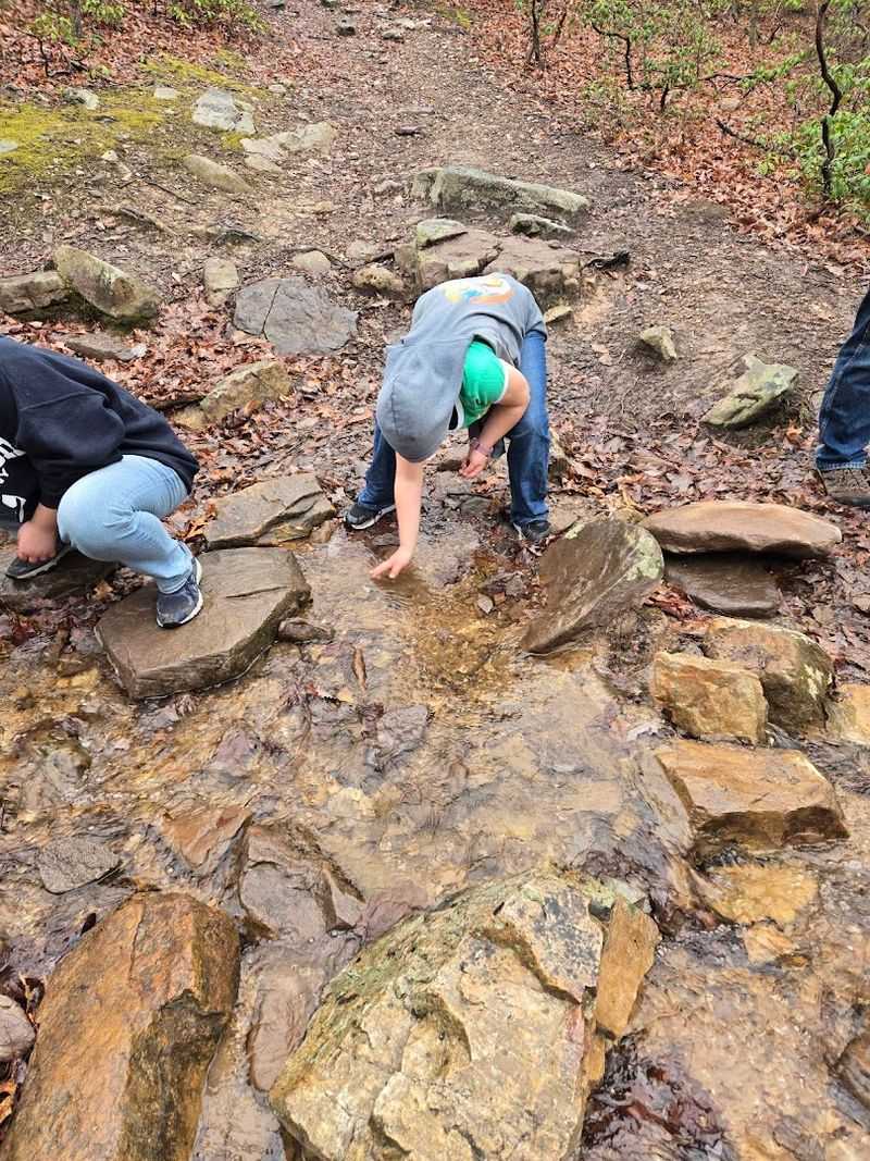 North Mountain Trail: The Climb That Earns Its Name