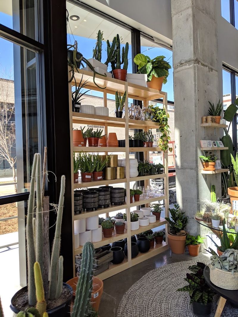 Pots, Planters, and the Little Extras That Make a Difference