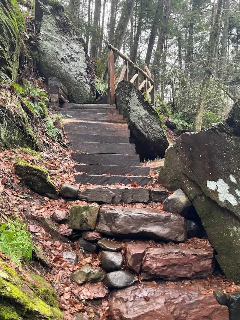 Trail Conditions and What to Expect Underfoot