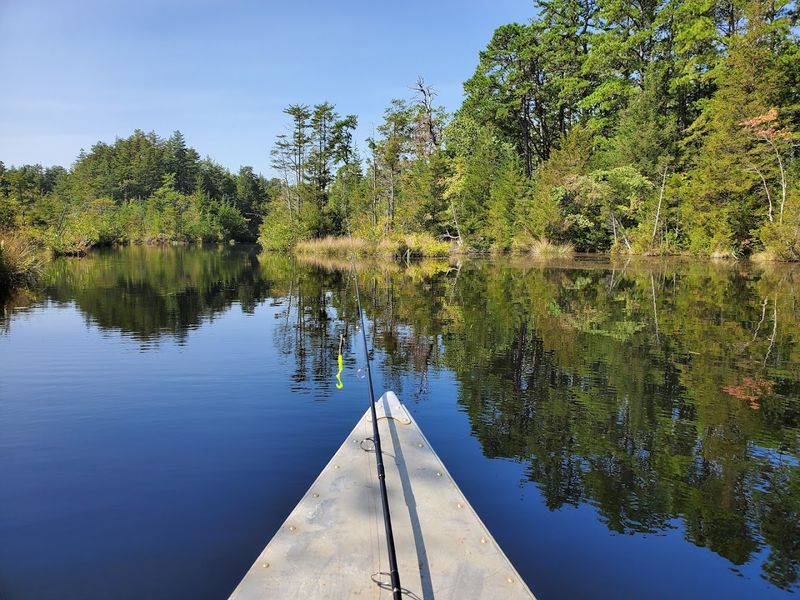 The Mullica River Trail: Scenic Waterway Through the Pines