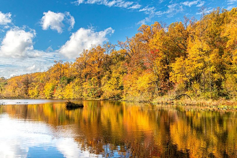 Lake Surprise and Its Quiet Shoreline