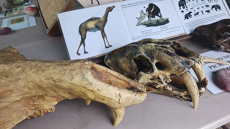 Other Prehistoric Creatures Found at the Site