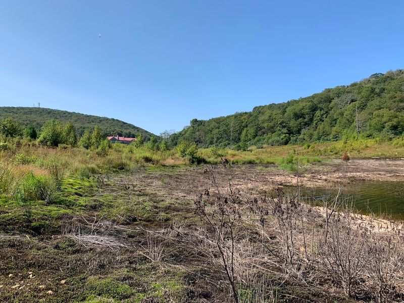 The Science Behind a Lake That Keeps Draining Itself