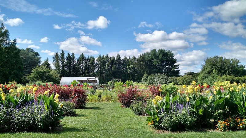 The Community Youth Garden and Its Edible Wonders