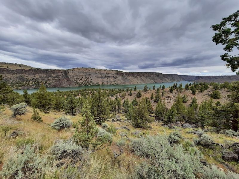 Wildlife Watching in High Desert Country