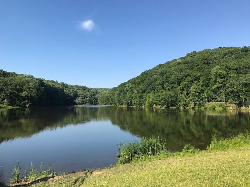 Breathing Easy: The Air Quality That Puts High Bridge on the Map