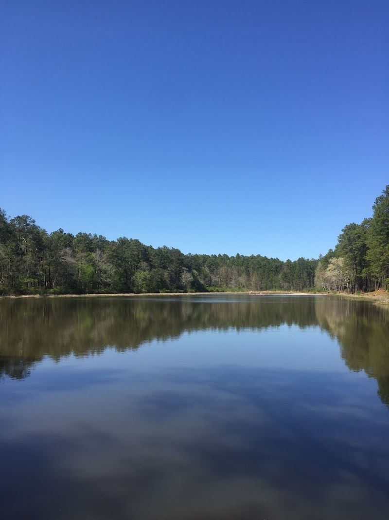 Boykin Springs Lake: The Crystal Clear Payoff
