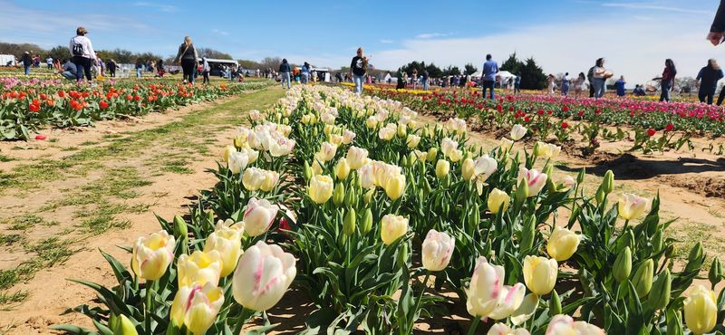Why This Farm Deserves a Spot on Your Spring Plans