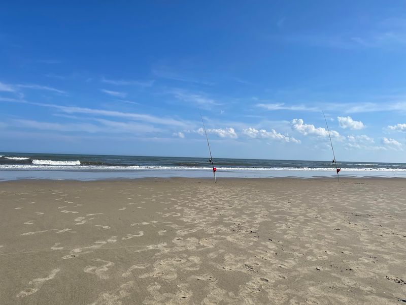 Assateague Island: Wild Ponies and Wilder Beaches