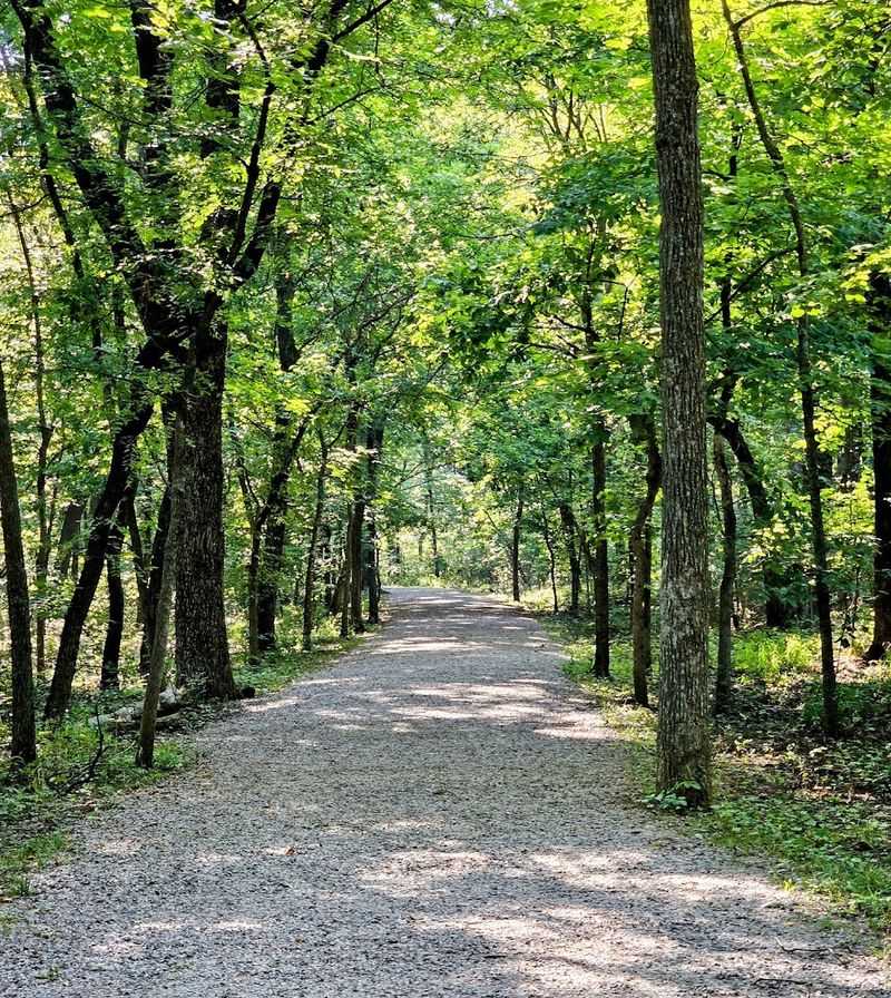 The Moment You Step Onto the Travertine Creek Trail