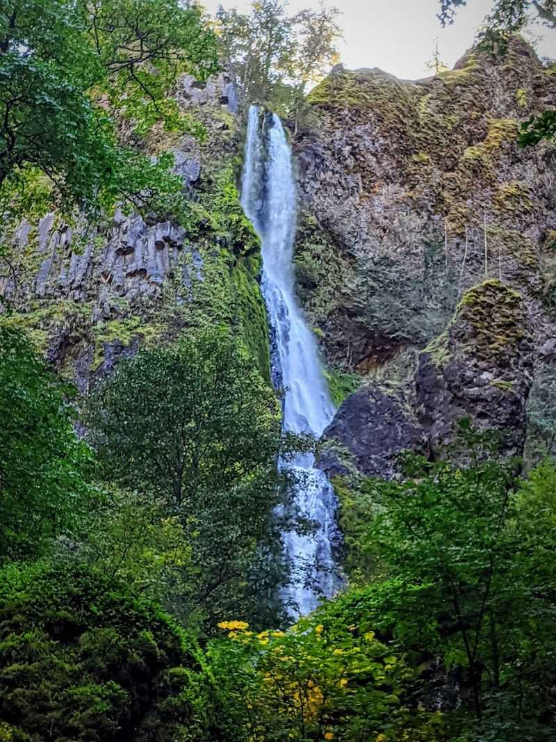 Starvation Creek Falls: The Show-Stopping First Stop