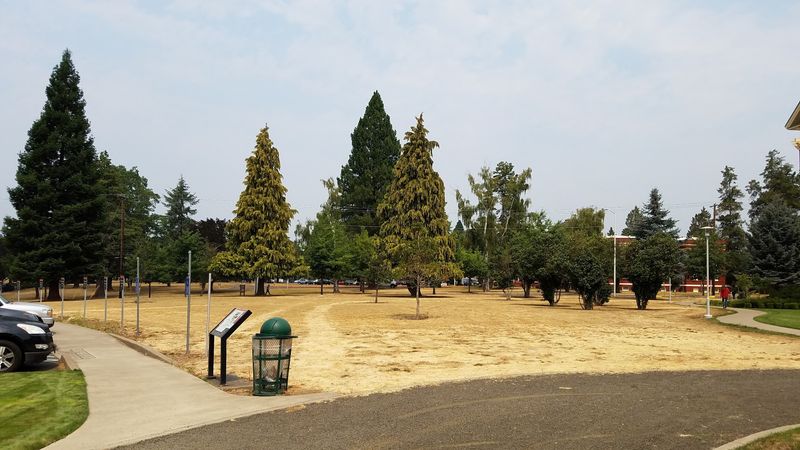 The Memorial for Forgotten Patients