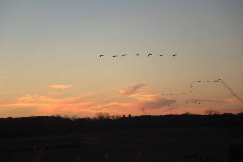 Timing Your Visit Around Sunrise or Sunset Changes Everything