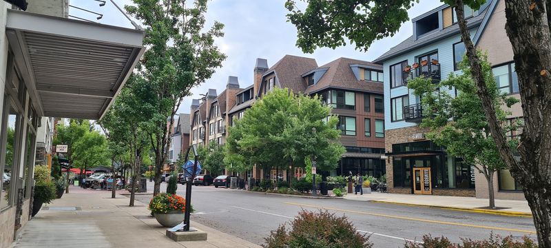 Wooden Shoe Tulip Farm in Spring