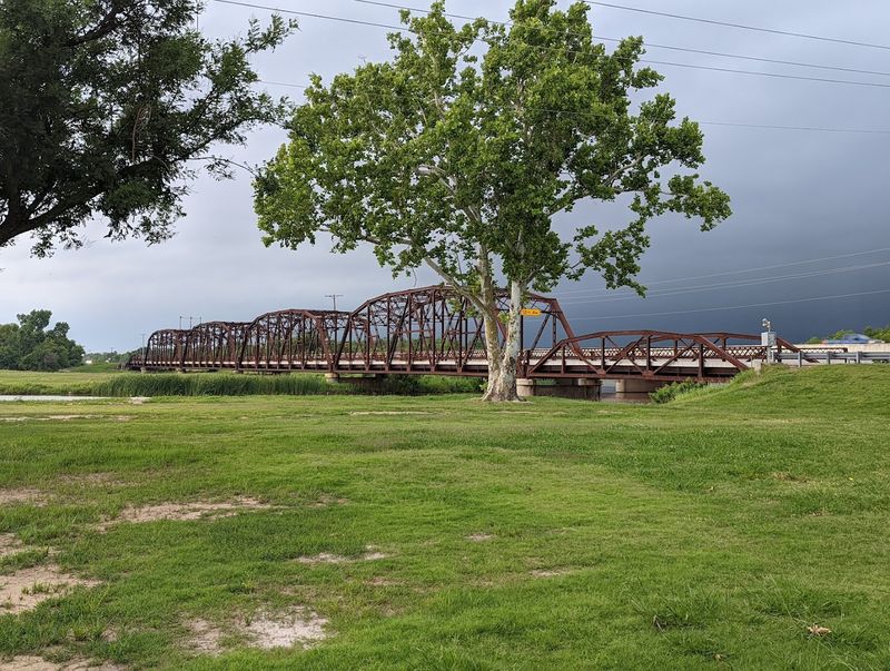 Picnicking Near the Bridge Feels Like a Forgotten Pleasure