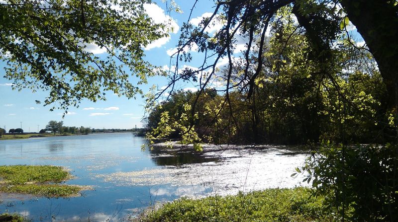 Kachina Prairie: A Slice of Native Texas