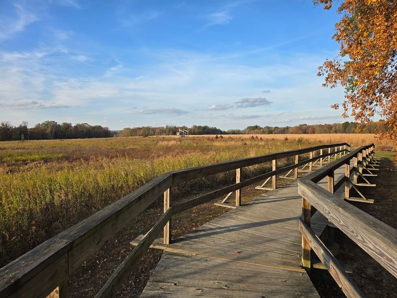 A Perfect Day Out for Families, Cyclists, and Dog Walkers