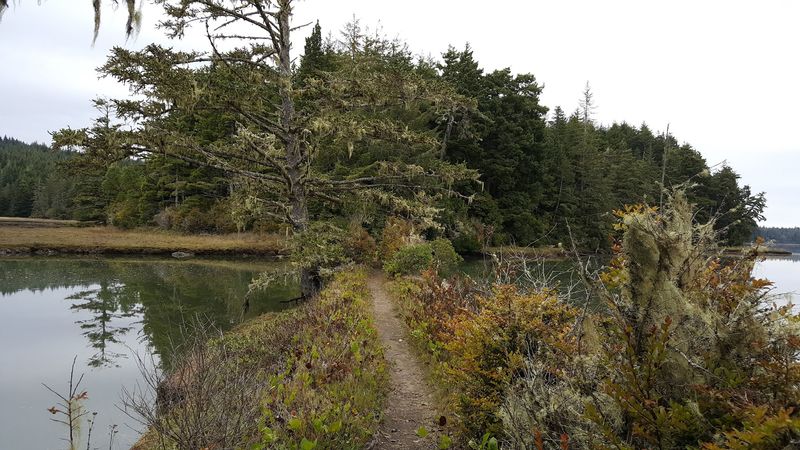 Morning Mist and the Magic of Going Early