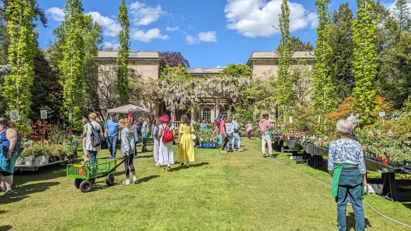 Summer Concerts and Cultural Events Under Open Sky