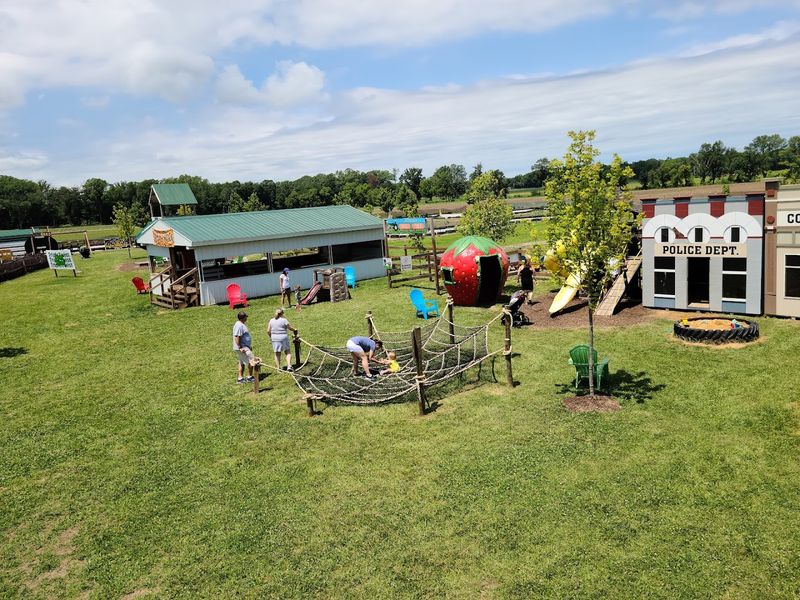 Over 40 Activities That Keep Everyone Busy All Day Long