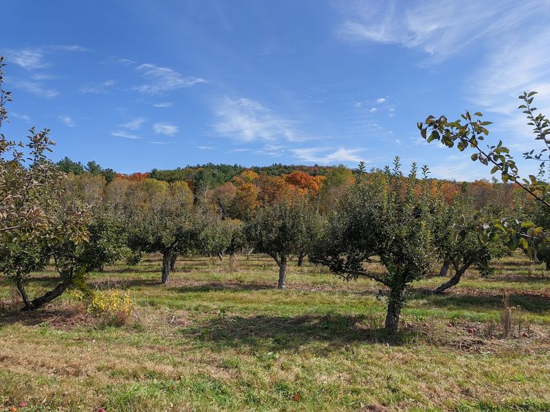 Orchard Views That Make The Stop Better