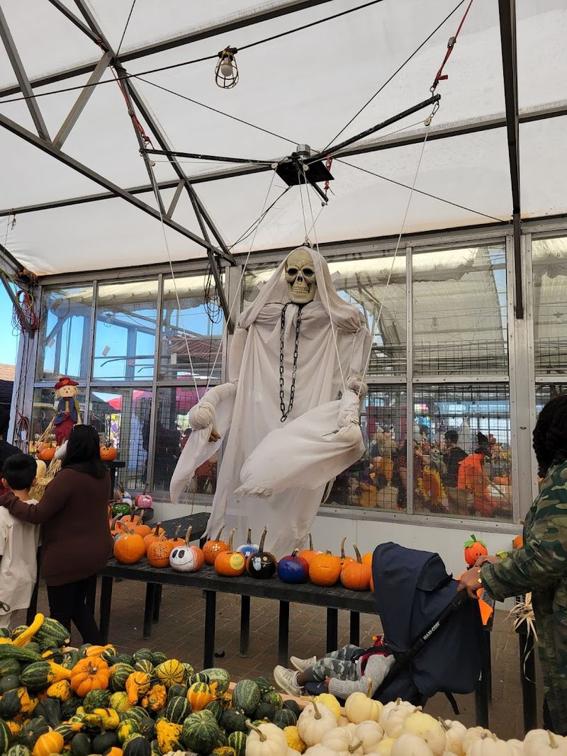 The Great Pumpkin Festival and Fall Fun Overload