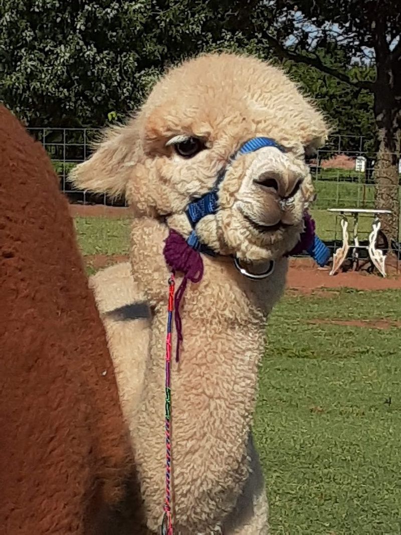 Why This Farm Is Perfect For Families With Kids