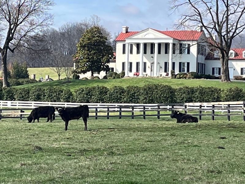 The History and Heritage of Ovoka Farm