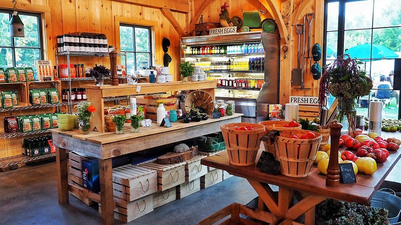 Over 100 Varieties Growing Right Outside Cape May's Back Door