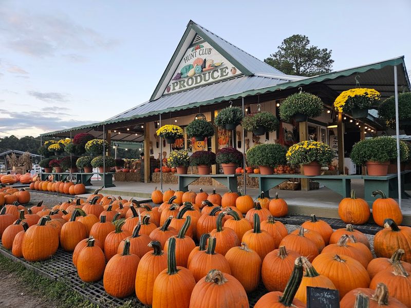 Haunted Hayride Through the Dark Woods