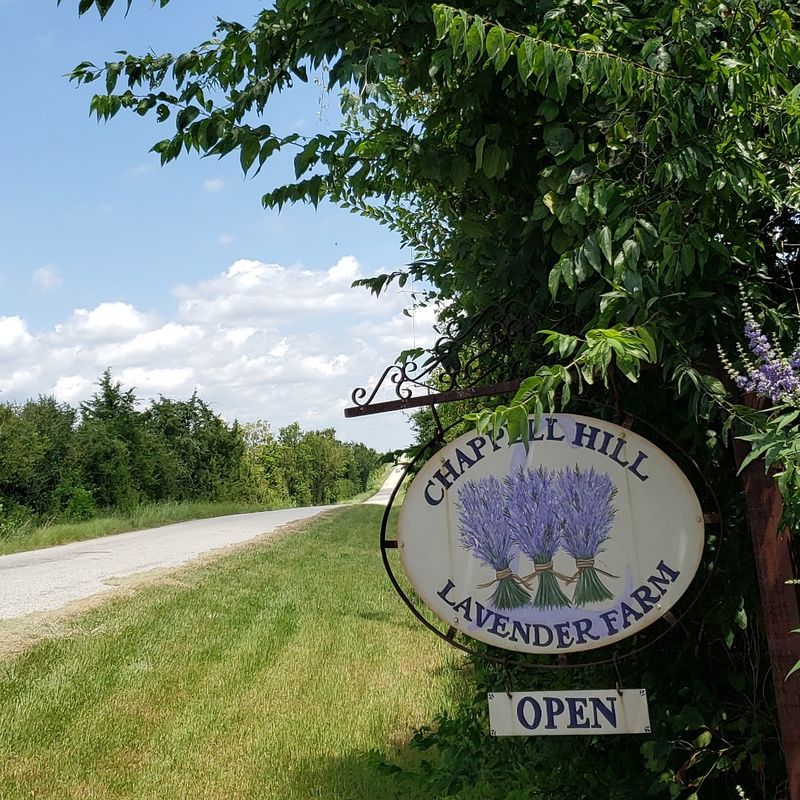 When to Visit and How to Plan Your Trip