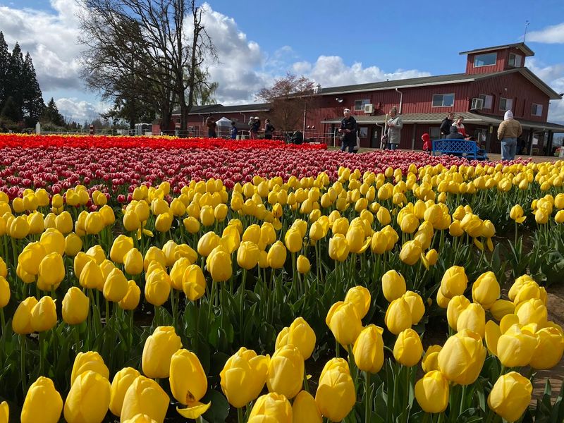 Getting There and Finding Your Footing