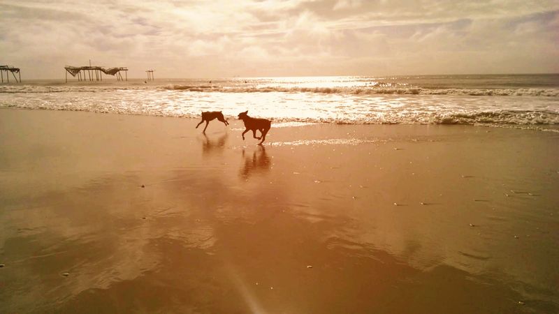 Why Frisco Pier Still Feels Haunted By The Ocean