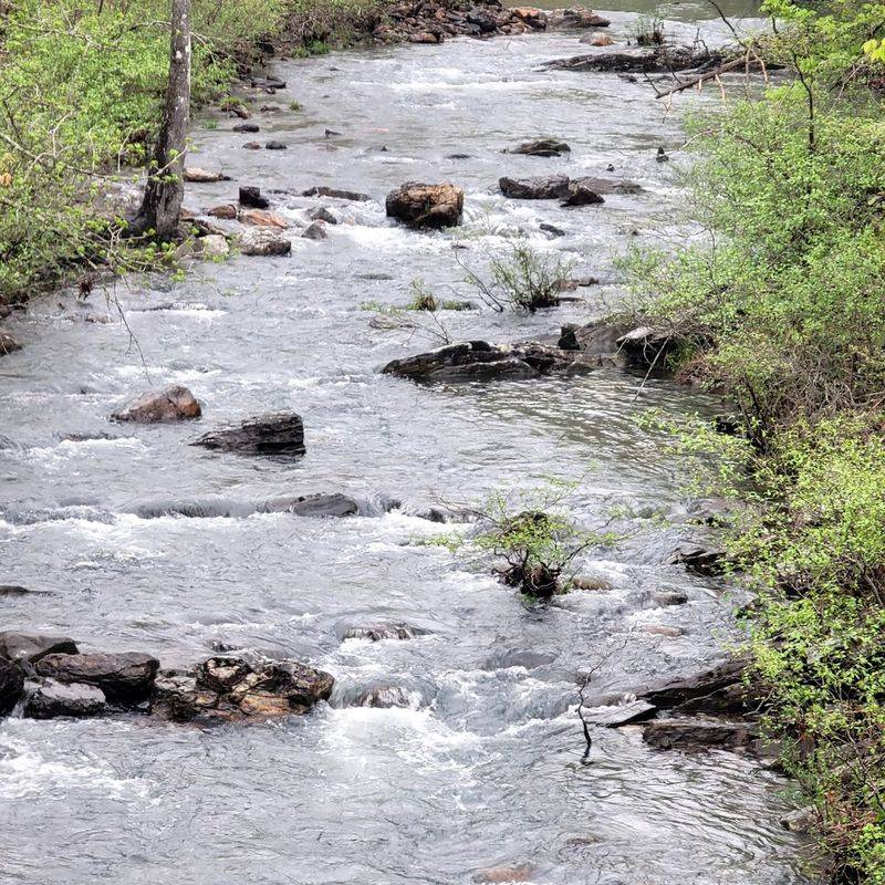 Small Streams Cross Your Path and Demand Your Full Attention