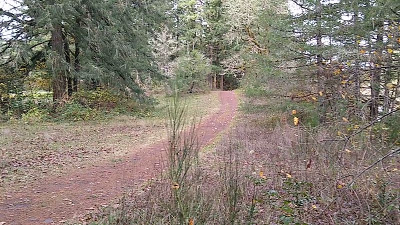 Equestrian Trails That Make Riders Feel Right at Home