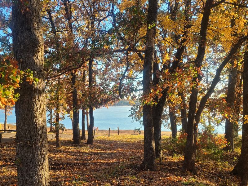 Hiking Trails With A Slightly Eerie Atmosphere
