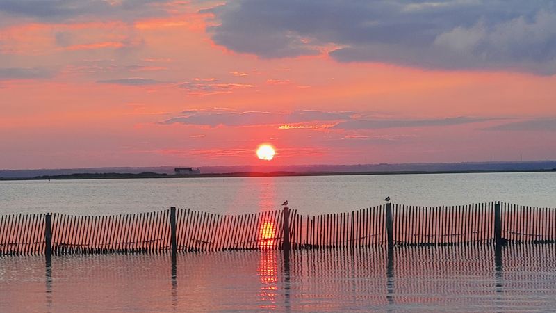 Family-Friendly Eating Without the Fuss