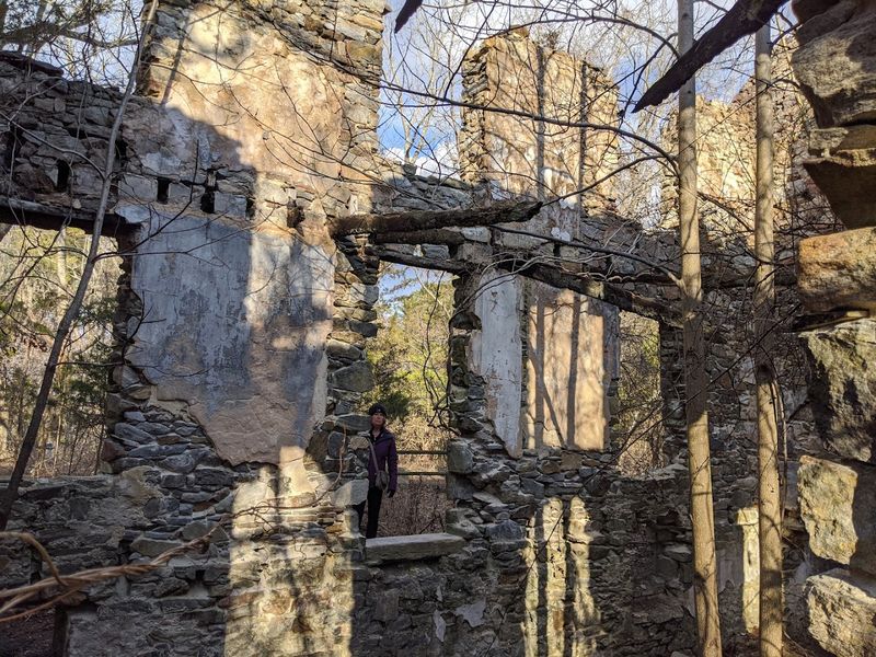 Historic Ruins Hidden in the Forest