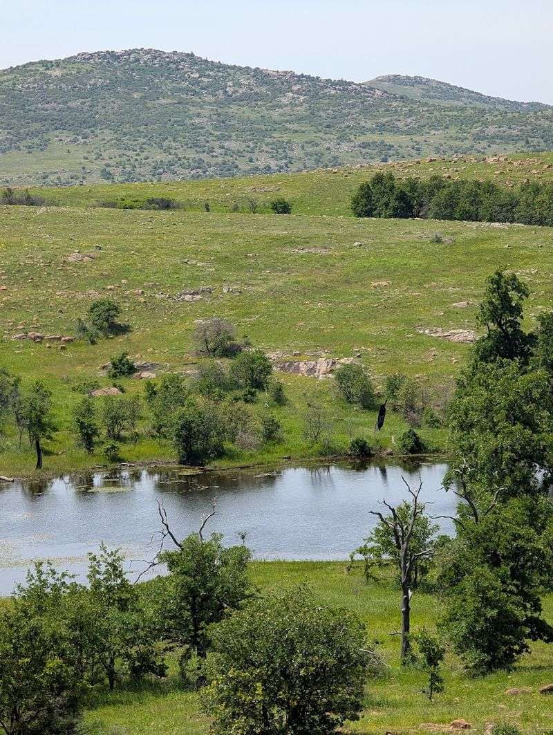 Camping Options Near the Wilderness Boundary