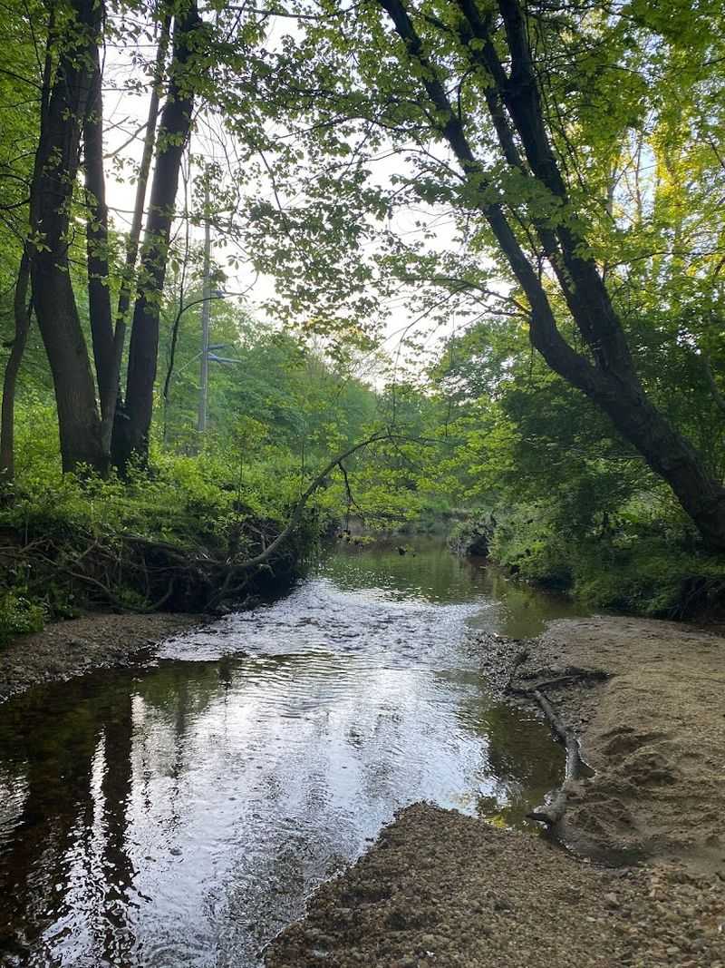 The Movie That Brought This Virginia Story to the World