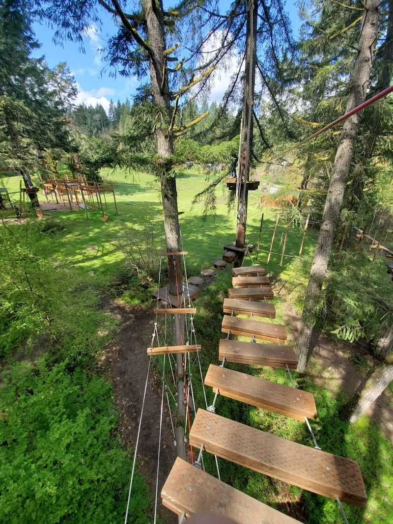 Aerial Obstacle Courses Built for Every Skill Level