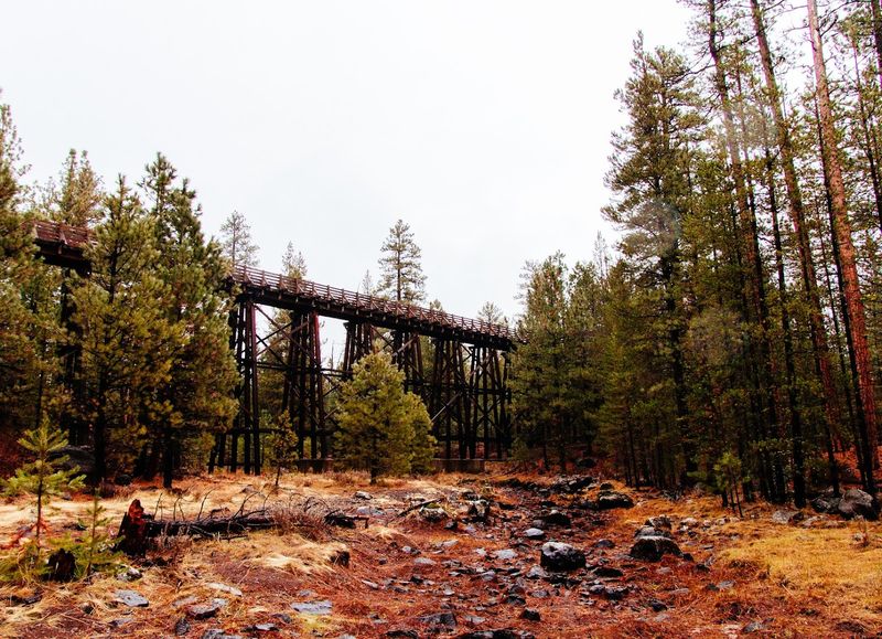 Best Seasons To Visit The Trail