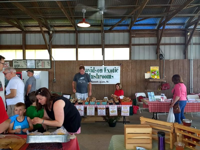 Baked Goods That Make Every Saturday Feel Like a Celebration