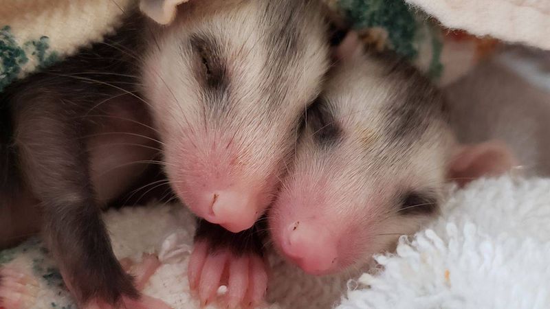 Perfect For All Ages